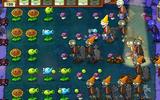 Plants_vs_zombies-1242135782