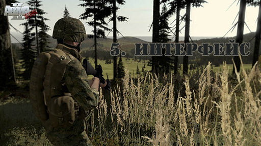 ArmA 2: Тактика современной войны - Это не баги, это жизнь, сынок