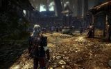 The_witcher_2_assassins_of_kings-1289279517