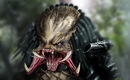 The_predator_by_vail_akatosh