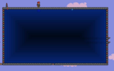 Terraria_sample3